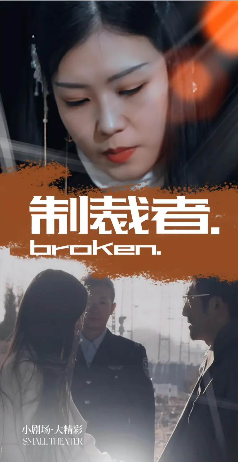 《制裁者》全集高清完整版在线观看与剧情解析