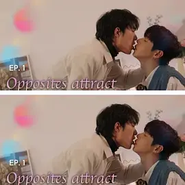 《反向吸引》全集高清完整版在线观看与剧情解析