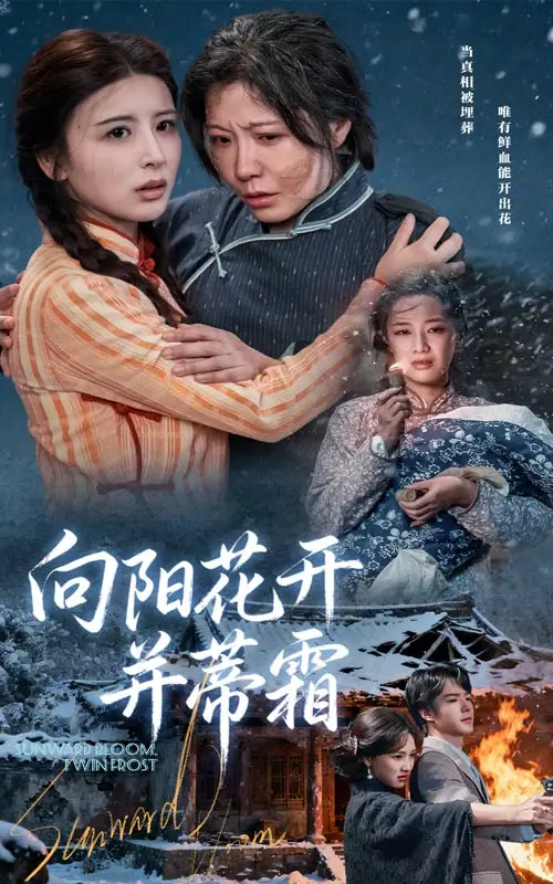《向阳花开并蒂霜》全集高清完整版在线观看与剧情解析
