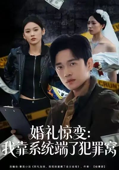 《婚礼惊变：我靠系统端了犯罪窝》全集高清完整版在线观看与剧情解析