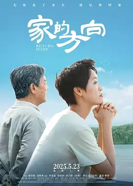 《家的方向》全集高清完整版在线观看与剧情解析