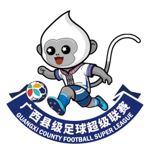 广西县级足球超级联赛 钦州市灵山县队1-2防城港市东兴市队20260301