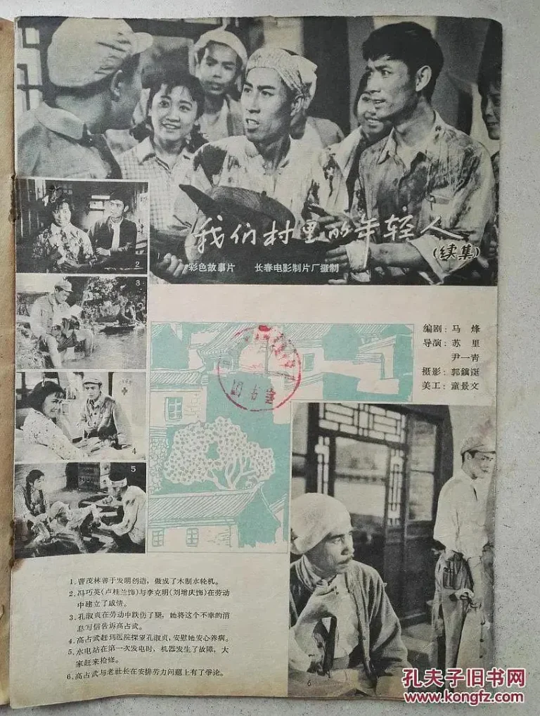 《我们村里的年轻人(续集)》全集高清完整版在线观看与剧情解析