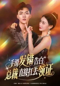 手滑发错告白,总裁直接扛去领证