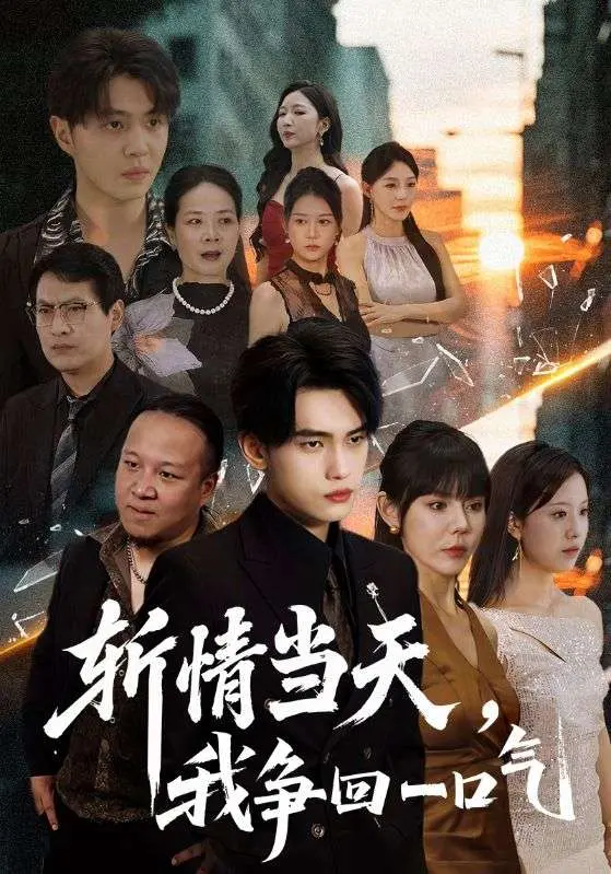 《斩情当天我争回一口气》全集高清完整版在线观看与剧情解析