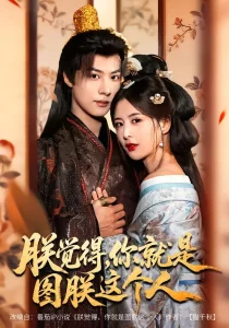 朕觉得,你就是图朕这个人