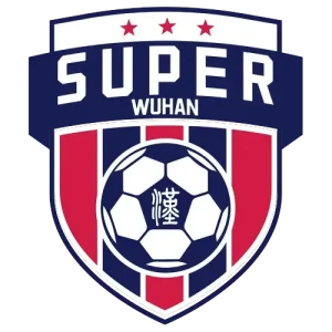 武汉城市足球超级联赛高校组 武昌职业学院2.1武汉大学20251019