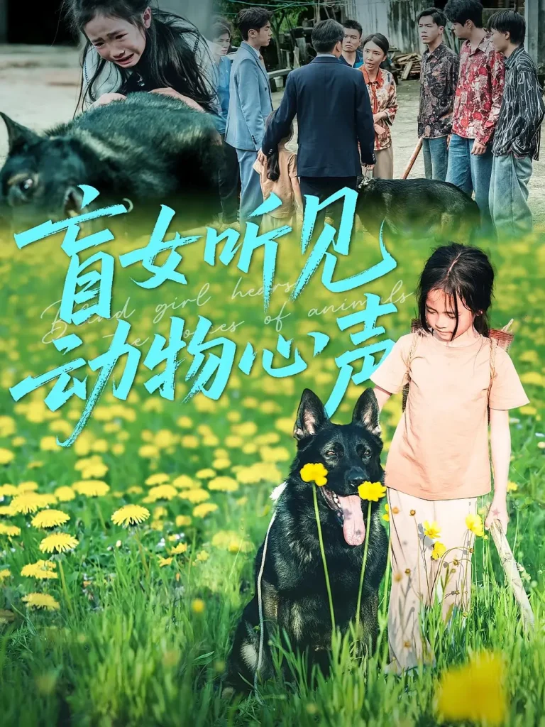 《盲女听见动物心声》全集高清完整版在线观看与剧情解析