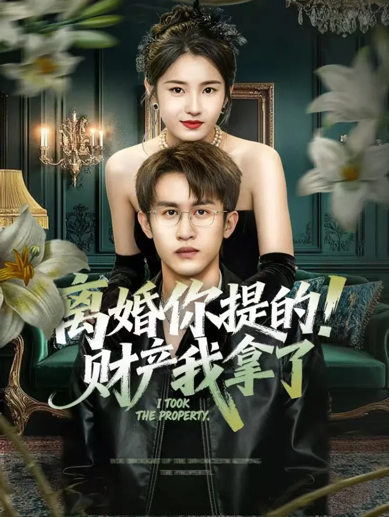 《离婚你提的！财产我拿了》全集高清完整版在线观看与剧情解析