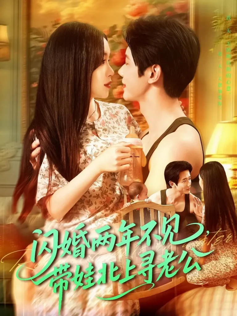 《闪婚两年不见带娃北上寻老公》全集高清完整版在线观看与剧情解析