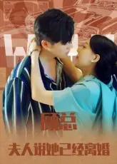 《顾总，夫人说她已经离婚》全集高清完整版在线观看与剧情解析